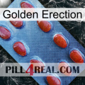 Golden Erection 06